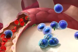 photo of cancer cell spread