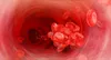 blood clot illustration