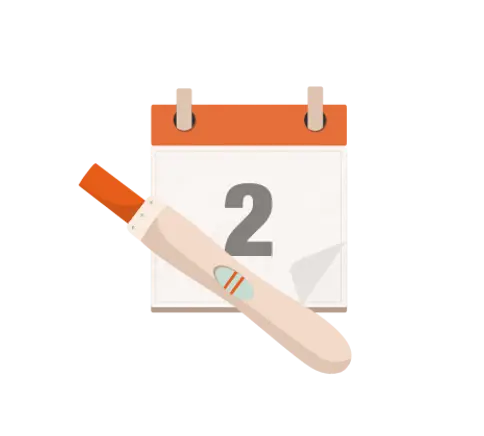 Ovulation Calculator Tool